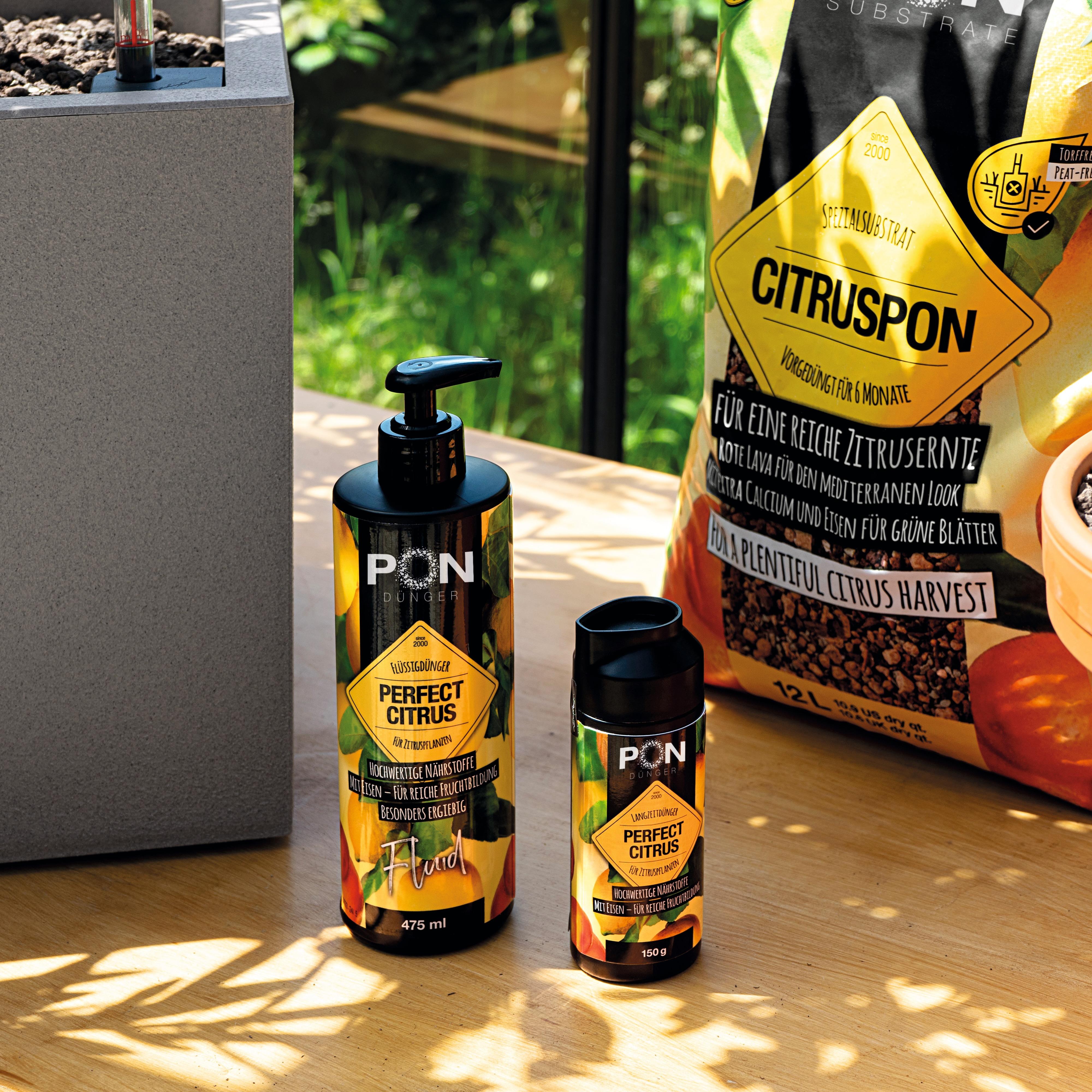 le_perfect-citrus_product_addi_01